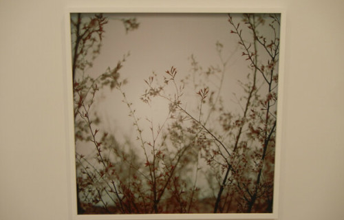 Darren Almond @Matthew Marks