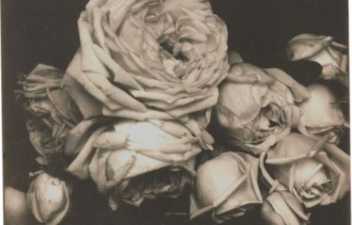 Auction Results: From Pictorialism into Modernism: 80 Years of Photography (online), May 13, 2020 @Christie’s