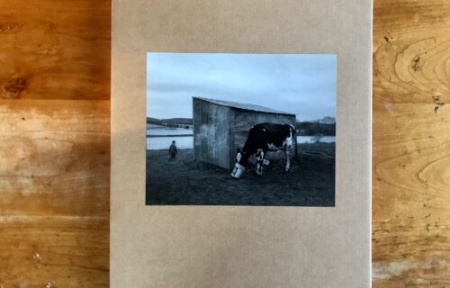 Erinn Springer, Dormant Season