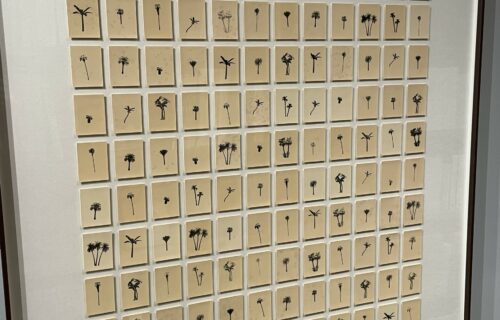 Bruno Roels @Howard Greenberg