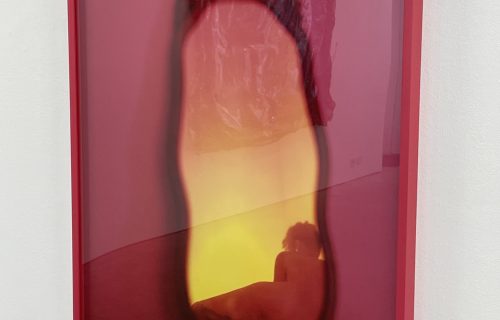 Avion Pearce @Ryan Lee