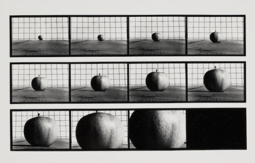 Auction Results: The Gift of Photographs, December 12, 2023 @Bonhams (online)