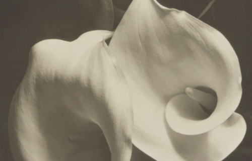 Auction Results: 20th Century Photography: The Emergence Of Modernism, December 6, 2023 @John Moran