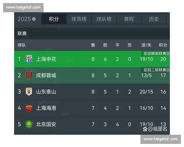 申花与鲁能中超巅峰对决：战术博弈与争冠格局深度解析